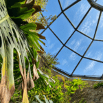 Grotta Gennari all’Orto Botanico di Cagliari con vegetazione e luce naturale