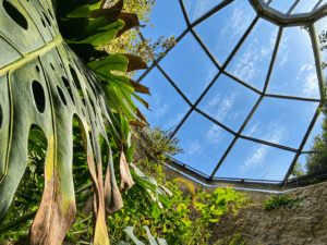 Grotta Gennari all’Orto Botanico di Cagliari con vegetazione e luce naturale