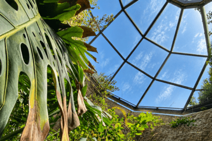 Grotta Gennari all’Orto Botanico di Cagliari con vegetazione e luce naturale