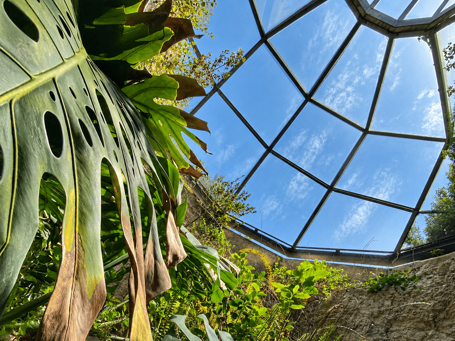 Grotta Gennari all’Orto Botanico di Cagliari con vegetazione e luce naturale